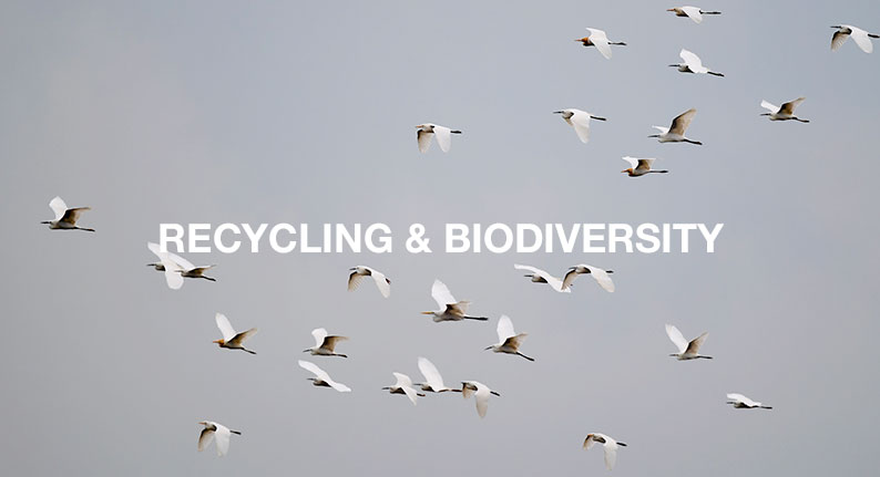 An-Environmental-Solutions-Asia-Perspective---Recycling-&-Biodiversity-in-Singapore