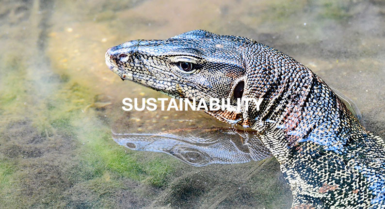 Environmental-Solutions-Asia-Promotes-Sustainability-for-Biodiversity