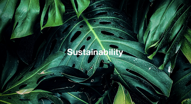 Environmental Solutions (Asia) - Sustainability
