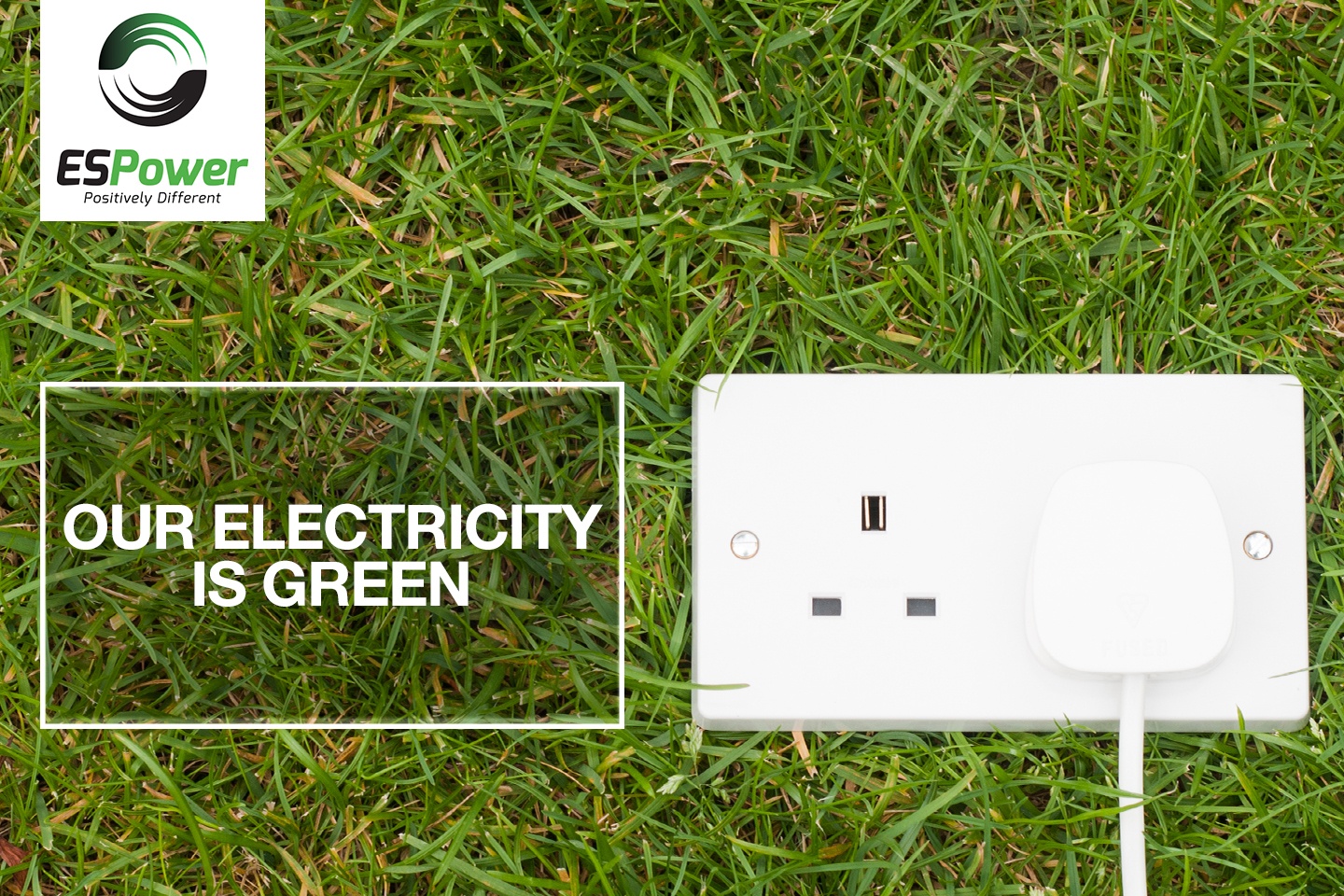 Our Electricit is Green (Eco-Business)