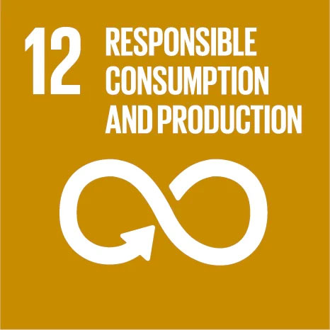 United-Nations-Sustainable-Development-Goals-12---Responsible-Consumption-and-Production